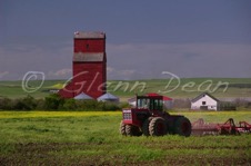 Tako
(relocated to Unity area farm)
July 2005